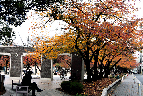 写真：江坂公園の秋