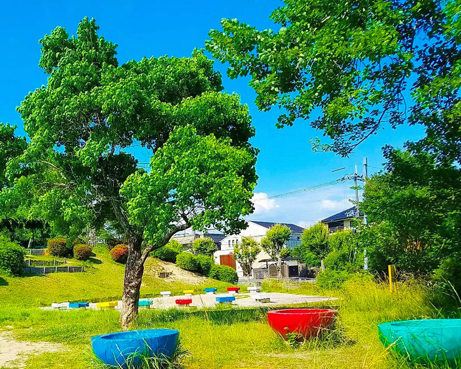 写真：ふじのき公園の写真