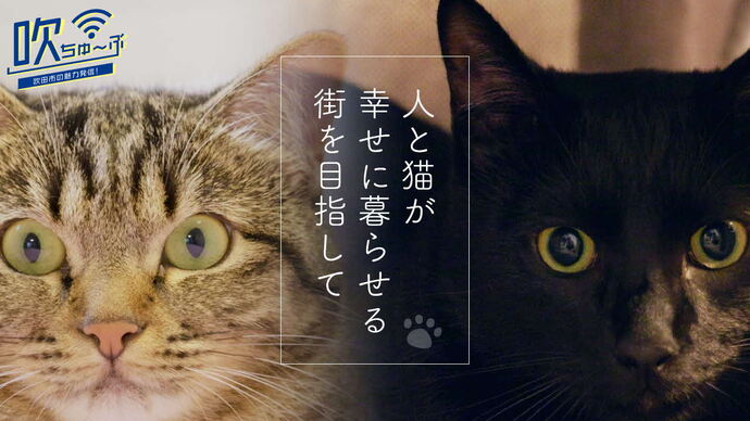 吹ちゅ～ぶ（外部リンク・新しいウィンドウで開きます）
