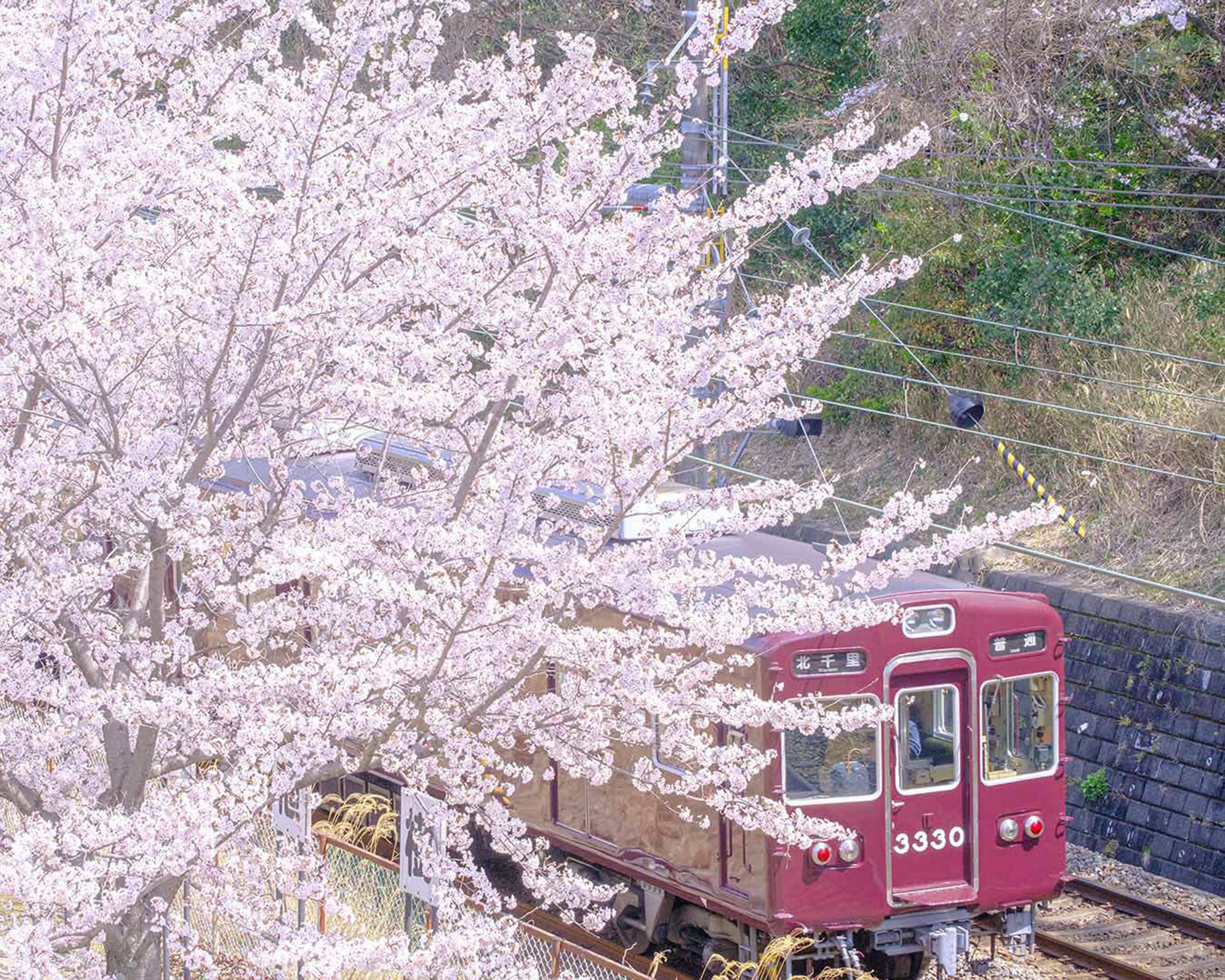 写真：阪急電車の写真