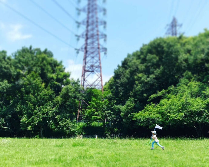 写真：千里第四緑地むらさき公園の写真