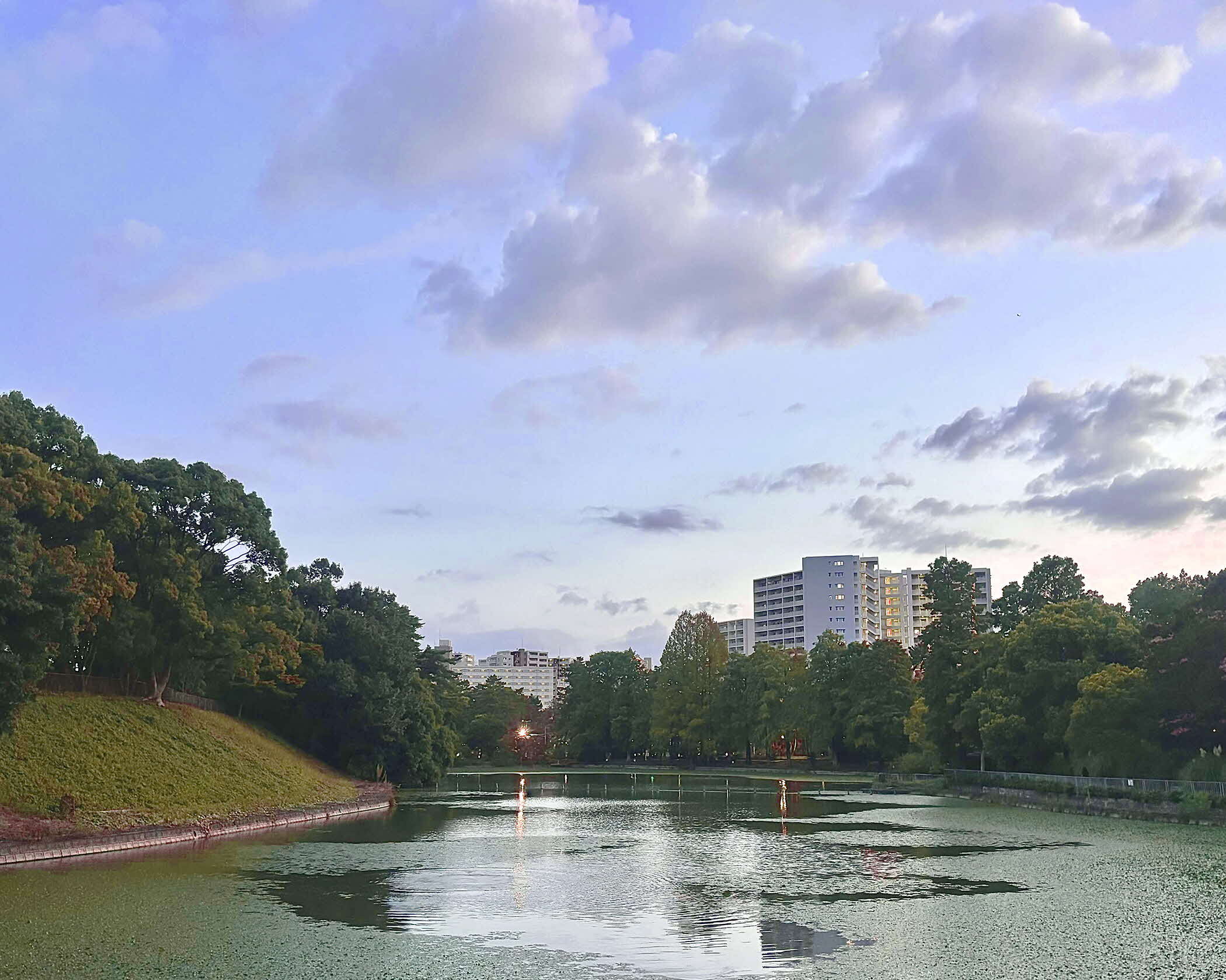 写真：千里南公園の牛ヶ池と夕焼け