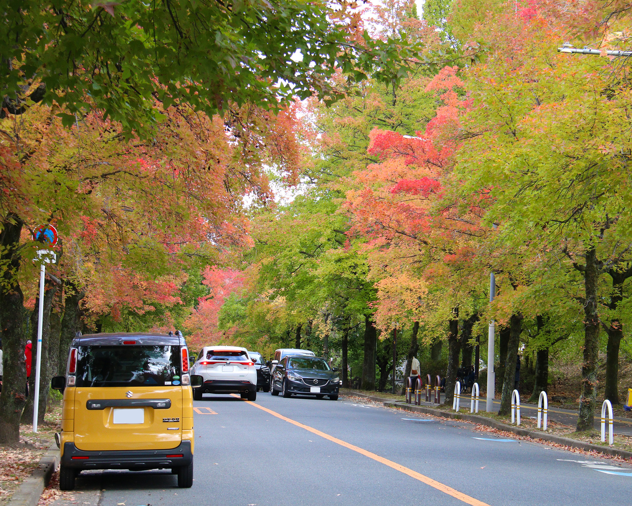 写真：三色彩道の写真