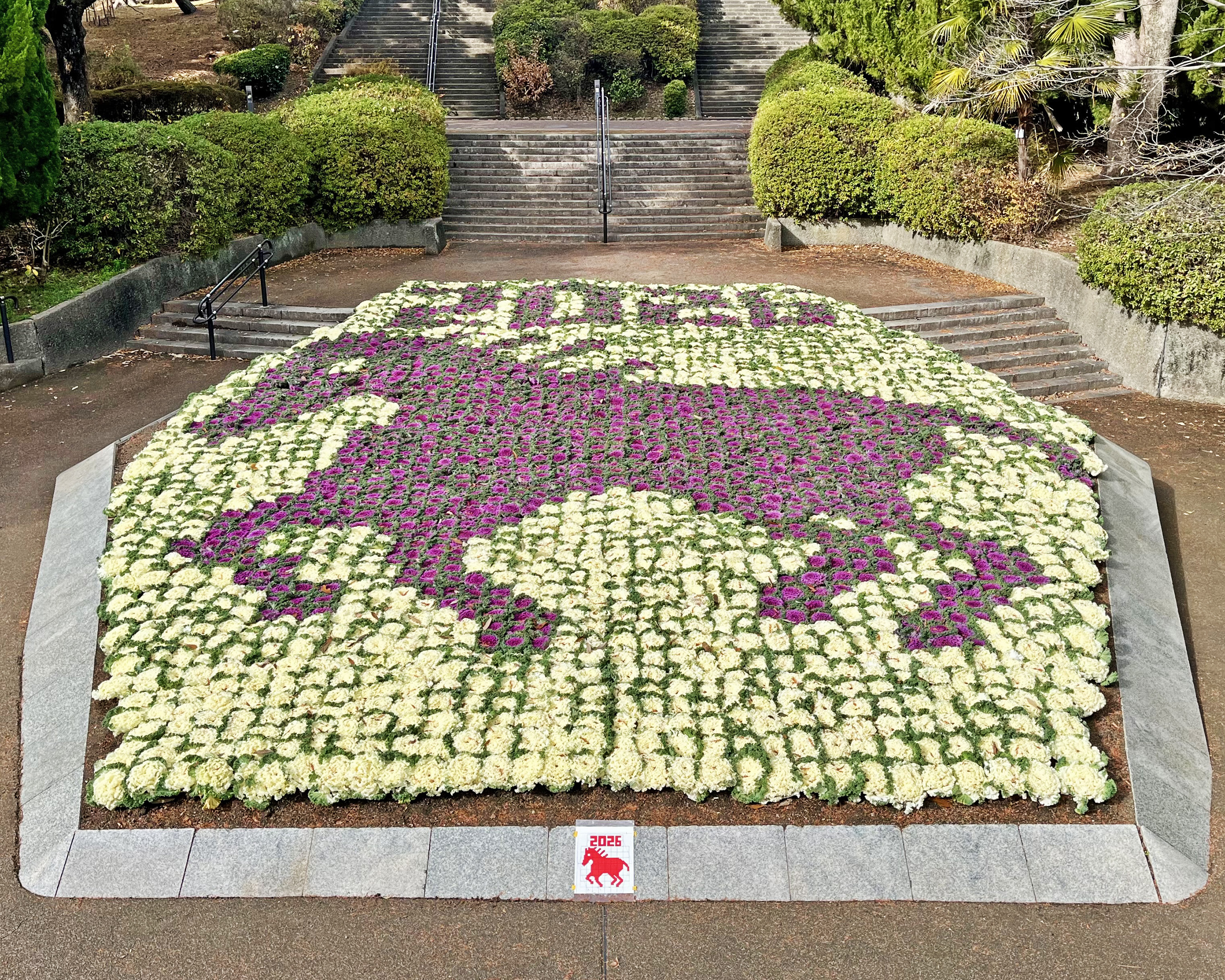 写真：千里南公園・干支の葉牡丹の写真