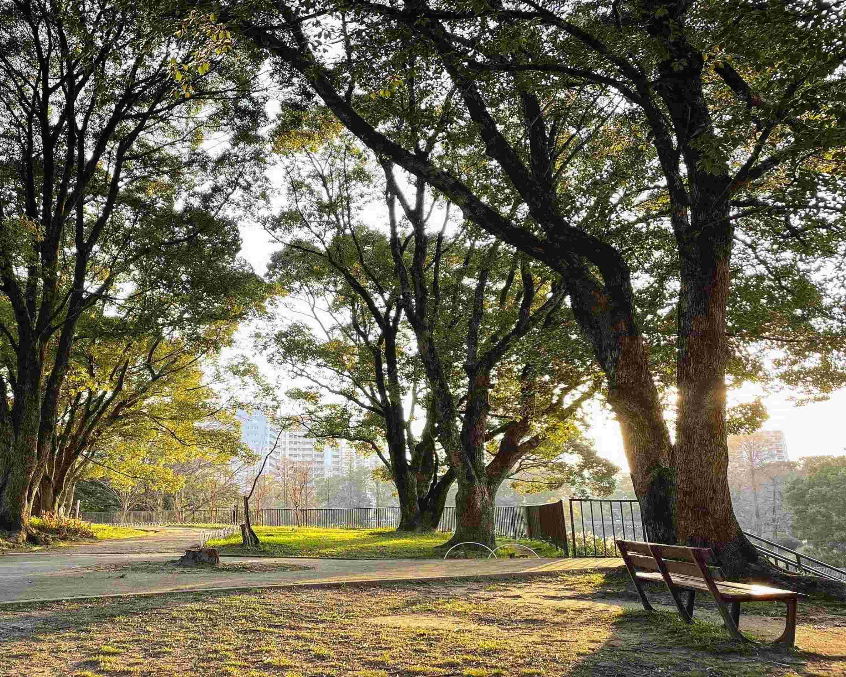 写真：千里南公園