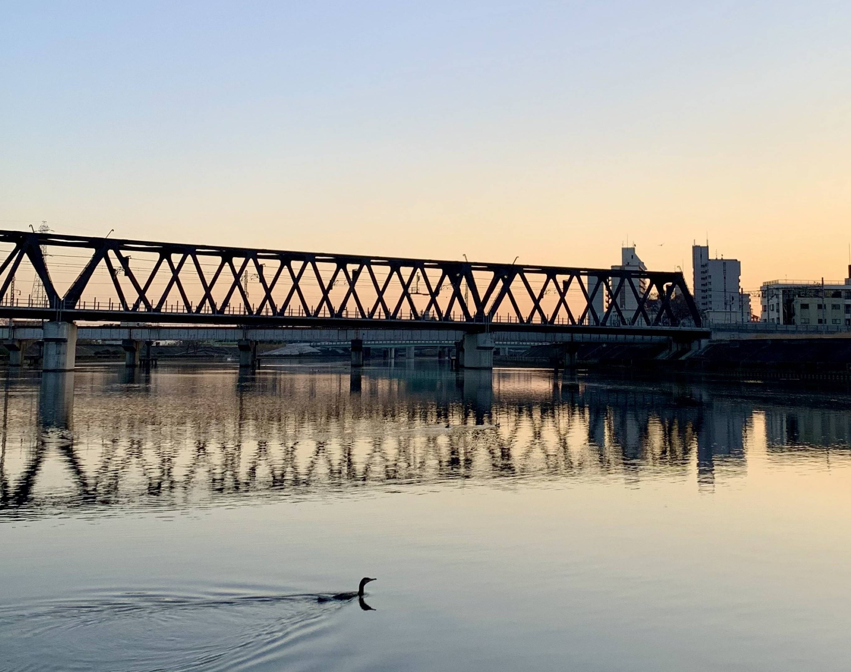 写真：神崎川橋梁の夕焼けの写真