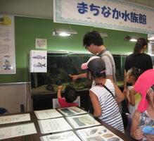 写真:まちなか水族館の様子1