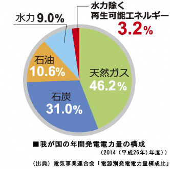 グラフ：我が国の年間発電電力量の構成