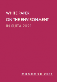 表紙：令和3年版白書