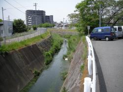 写真：山の谷川