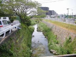 写真：上の川