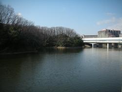 写真：釈迦ヶ池