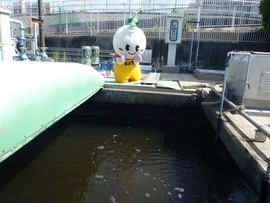 写真：最終沈殿池の水