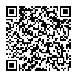 就学相談予約QRコード