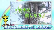 動画サムネイル：ダイジェスト 令和3年9月後半号　吹田市広報番組「お元気ですか！市民のみなさん」