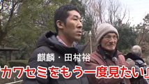 動画サムネイル:特集「渓流の宝石を探せ!吹田カワセミプロジェクト」平成31年2月前半号 吹田市広報番組「お元気ですか!市民のみなさん」