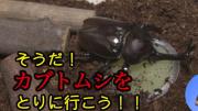 動画サムネイル：ダイジェスト 令和元年8月前半号 吹田市広報番組「お元気ですか！市民のみなさん」