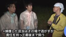 動画サムネイル：特集「そうだ！カブトムシをとりに行こう！」令和元年8月前半号　吹田市広報番組「お元気ですか！市民のみなさん」