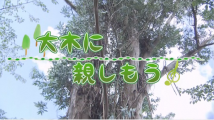 動画サムネイル：ダイジェスト 令和元年9月後半号 吹田市広報番組「お元気ですか！市民のみなさん」（YouTube）