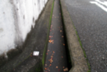 写真:道路3