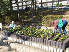 写真：作業の様子