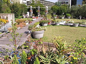 様々な色彩の草花が木道の両側に植えられています。