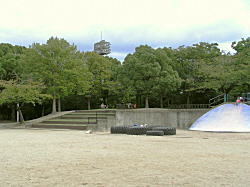 中の島公園の風景