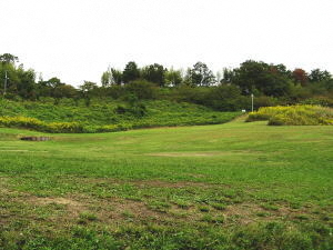 写真：千里北公園の原っぱ