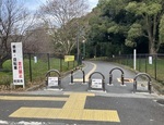 千里北公園内園路の写真