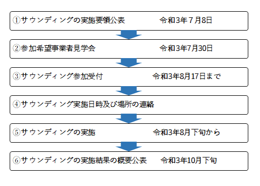 サウンディング型市場調査の説明図