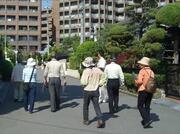 写真：戸建住宅のまちなみ3