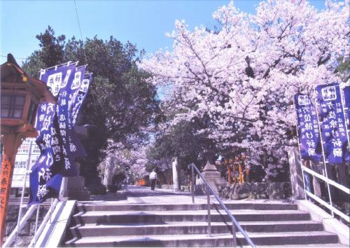 写真：No17片山神社の桜①