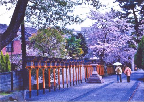 写真：No40片山神社の桜2