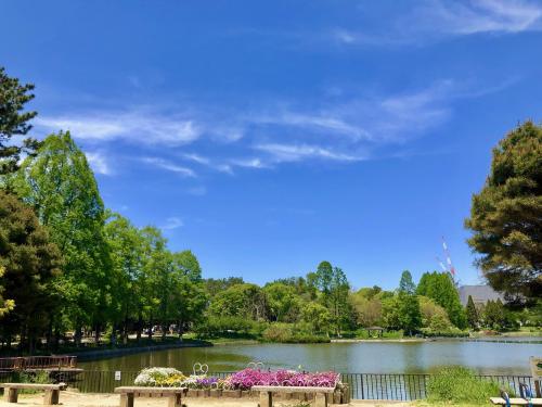 写真：No59青空と新緑と池と花壇のある穏やかな風景