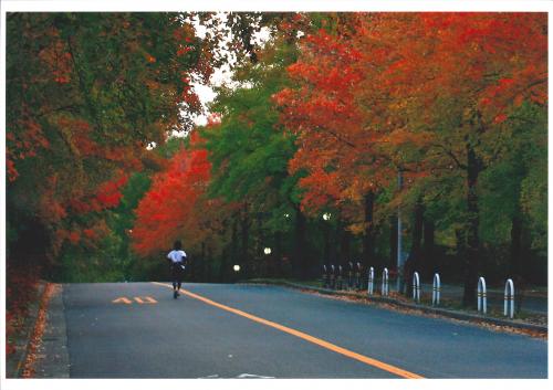 写真：秋深まる