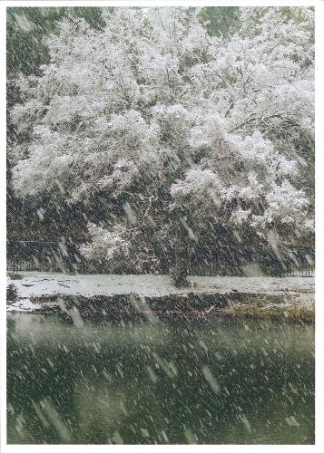 写真：予期せぬ風雪