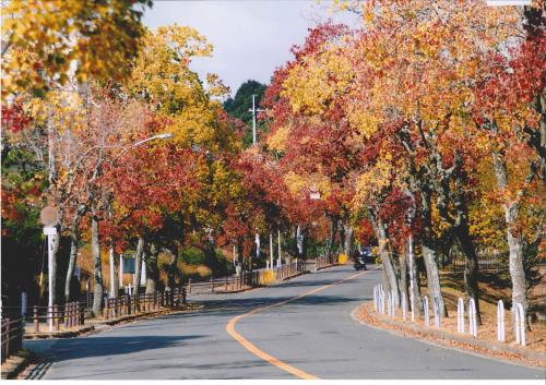 写真：青山台の秋景色