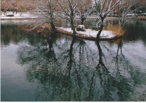 写真：積雪の冬池