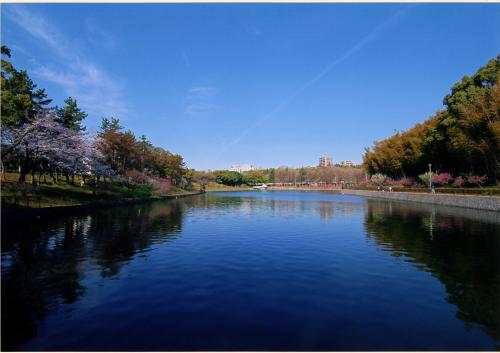 写真：春景