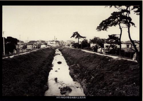 写真：1973年松の残る糸田川上流方向