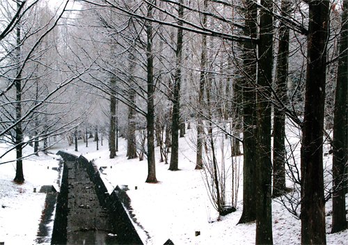 写真：雪景色