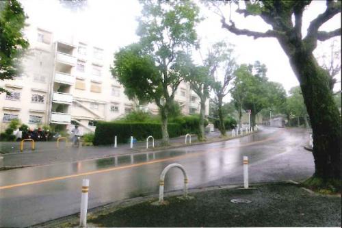 写真：雨の日に