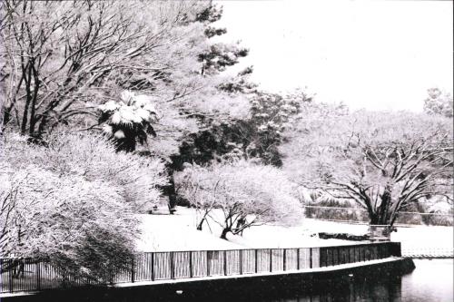 写真：雪化粧の春日大地