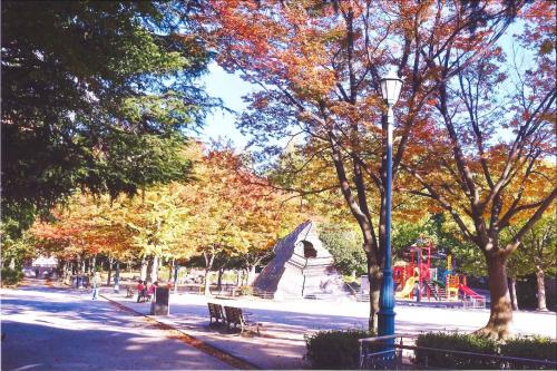 写真：片山公園の秋1