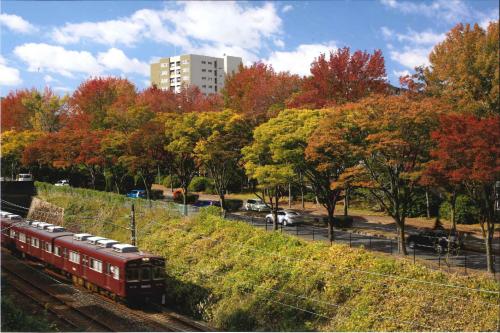 写真：All Autumn