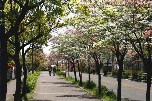 写真：私の思い