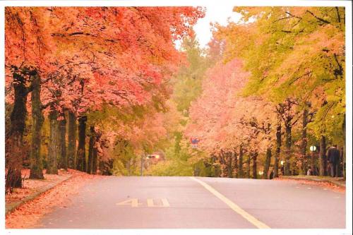 写真：燃える径