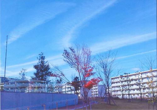 写真：10　吹田の青い空