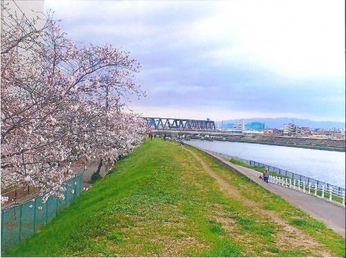 写真：36　緑風橋から