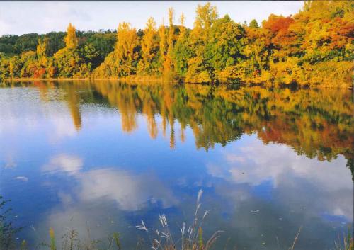 写真：46　北千里公園の秋